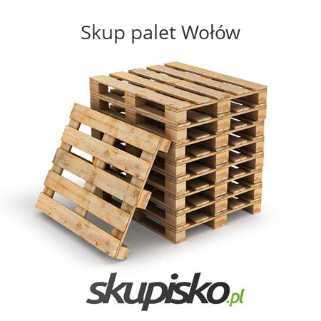 Skup palet Wołów