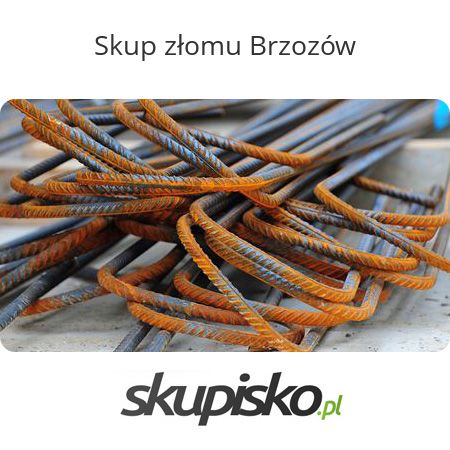 Skup złomu Brzozów