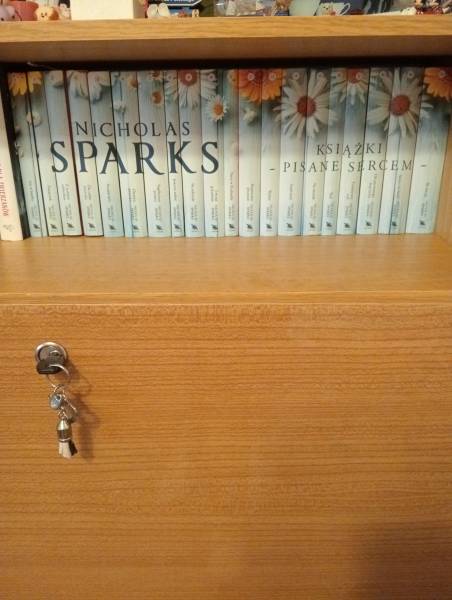 Nicholas sparks książki pisane sercem 